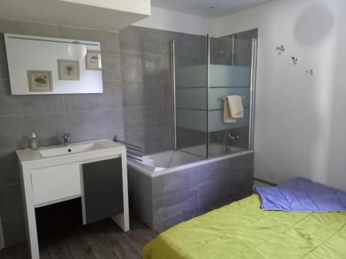 uma casa de banho com um chuveiro, um lavatório e uma banheira em T2 rez de jardin 5 min de Cassis em Carnoux