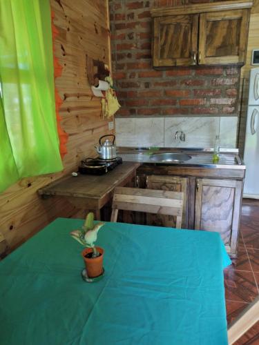 una cocina con una mesa con una maceta. en Cabaña Guaimbe en Eldorado