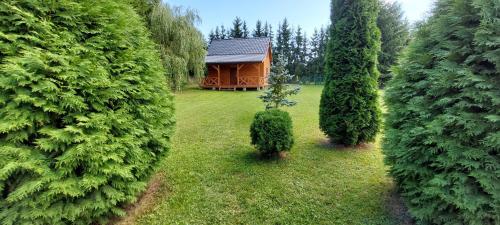 an aerial view of a house between two trees at Winiec 218/8 in Miłomłyn