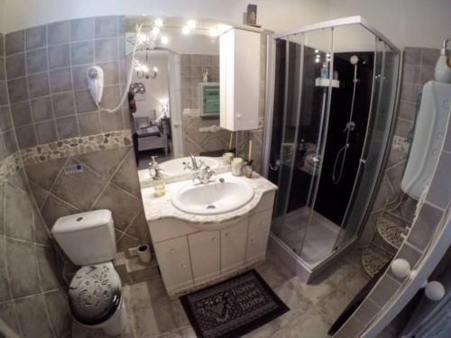 La salle de bains est pourvue d'un lavabo, d'une douche et de toilettes. dans l'établissement chambre d'hôte cosy, à Carbuccia
