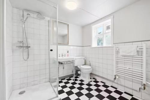 een witte badkamer met een douche en een toilet bij Central studio apartment in Reykjavík