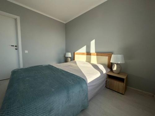 a bedroom with a large bed with a blue blanket at Sânzâiana House in Căuşeni