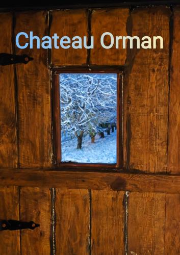 a window in a wooden door with a snow covered tree at Chateau Orman in Orman
