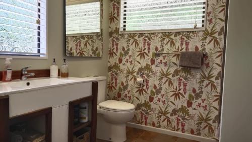 a bathroom with a toilet and a sink at Tranquil Private Rural Retreat in Tauranga