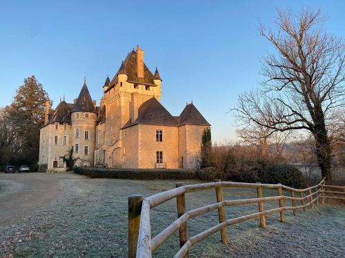 an old castle with a fence in front of it at Château de La Tour en Brenne in Rivarennes