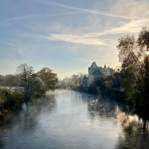 a view of a river with a castle in the background at Château de La Tour en Brenne in Rivarennes