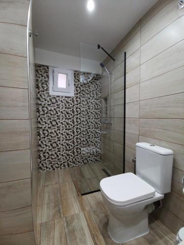 a bathroom with a toilet and a walk in shower at Olympia Project / Χώρος Διαμονής στην Αλμωπία in Exaplátanos