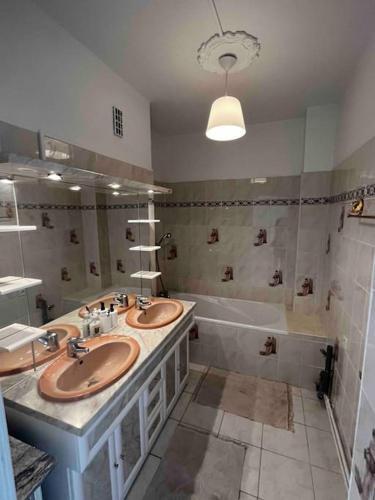 uma casa de banho com 2 lavatórios e uma banheira em Université Jean Monnet Saint Etienne em Saint-Étienne