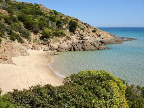 a sandy beach with trees and the ocean at Blue House, 300m to beach in Pula