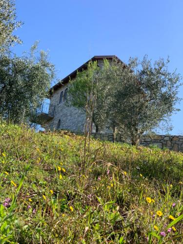 an old building on top of a grassy hill at Shehu Villa in Kuçovë
