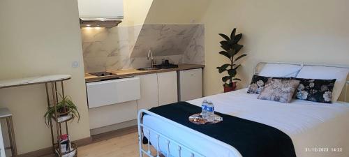 een kleine slaapkamer met een bed en een keuken bij Le CocoOn Doré in Poitiers