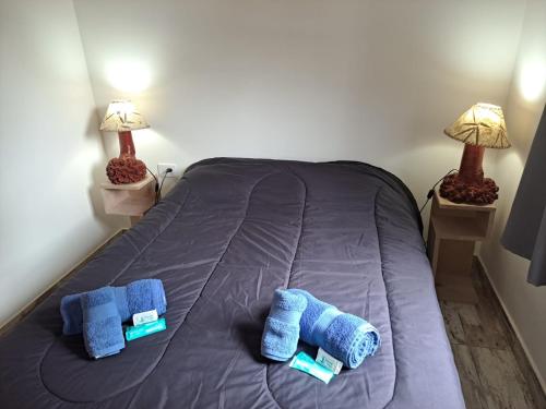 a bed with blue pillows on it with two lamps at Cabaña SANTA MONTAÑA in Ushuaia