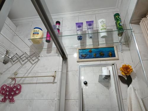 Koupelna v ubytování Sandrady