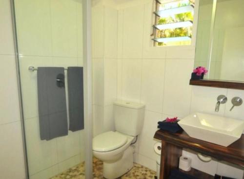 ein Bad mit einem WC und einem Waschbecken in der Unterkunft Oasis Palms Hotel in Nadi