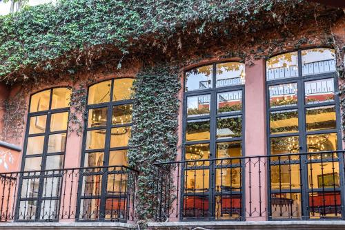 a building with windows covered in ivy at Casa Almira 5BR Luxury Home with Pool, Hot Tub & Rooftop in San Miguel de Allende