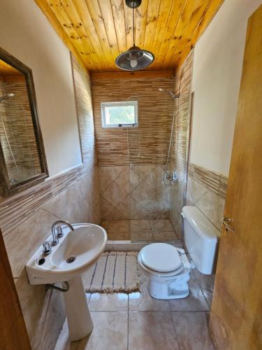 ein Bad mit einem Waschbecken, einem WC und einer Dusche in der Unterkunft Cabañas Entre Cumbres in Moquehue