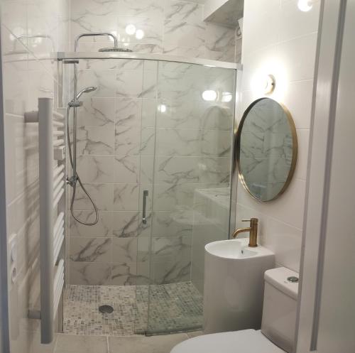 La salle de bains est pourvue d'une douche, de toilettes et d'un lavabo. dans l'établissement Le CocoOn Doré, à Poitiers