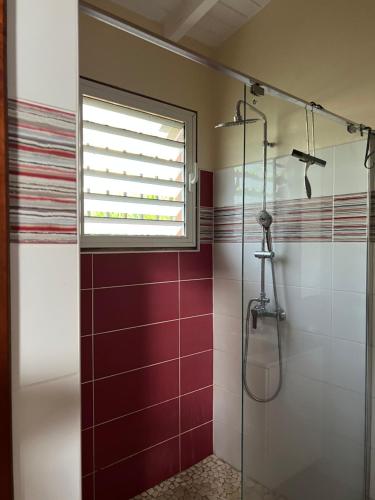 een badkamer met een douche en een raam bij Kaz Raphitou in Bouillante