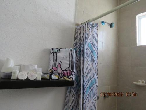a bathroom with a shower and a shelf with towels at Brisa de Mar in El Ojito