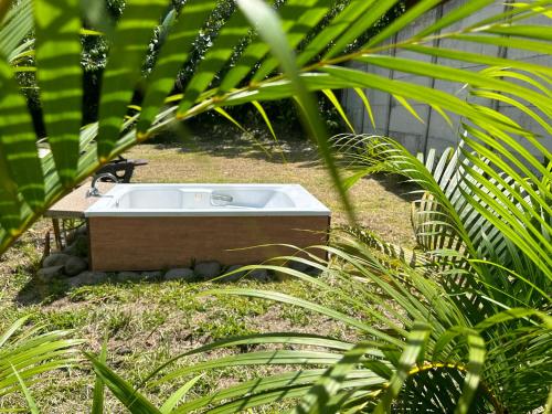 Oktara Arenal – Photos 3