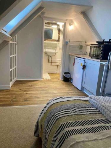 Zimmer mit einer Küche und einem Zimmer mit einem Waschbecken in der Unterkunft The Snug - cosy studio in Grade II listed building in Bath