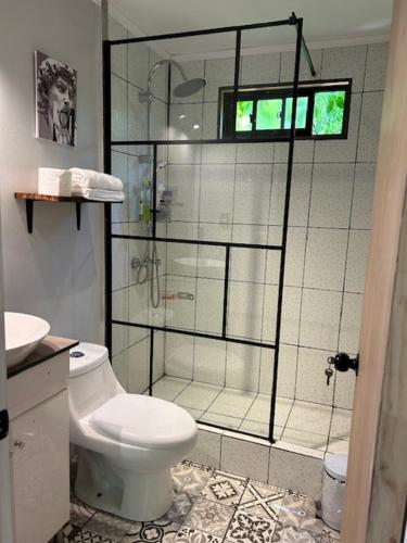 La salle de bains est pourvue de toilettes et d'une douche en verre. dans l'établissement Casa Maqui, à Talca