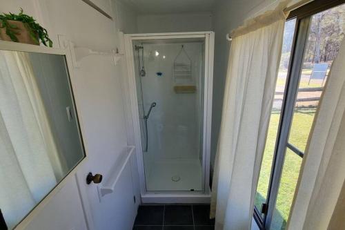 La salle de bains est pourvue d'une douche avec une porte en verre. dans l'établissement Pillar to Coast, à Pillar Valley