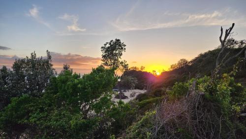a sunset on a hill with trees in the foreground at Town Beach Motor Inn Port Macquarie in Port Macquarie