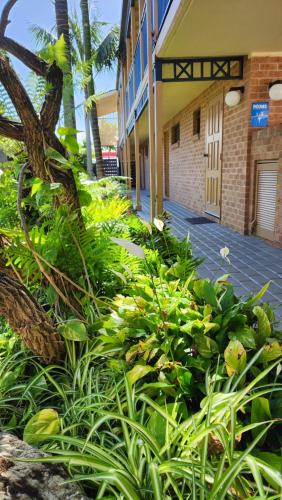 a bunch of plants in front of a building at Town Beach Motor Inn Port Macquarie in Port Macquarie