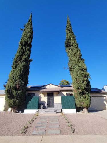 three tall trees in front of a house at House In Lake Balboa/Los Angeles in Los Angeles