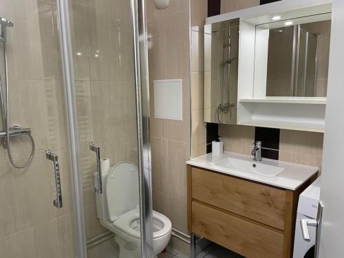 La salle de bains est pourvue de toilettes, d'un lavabo et d'une douche. dans l'établissement Appartement Cosy proche Paris, au Bourget