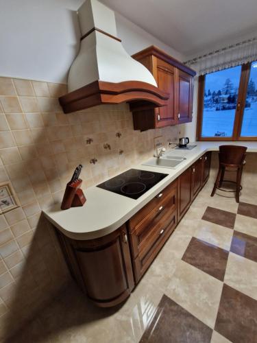 a kitchen with a sink and a stove top oven at Apartamenty Monti in Bukowina Tatrzańska