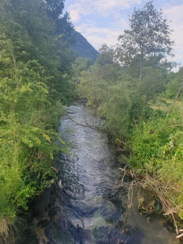 a river in the middle of a forest at Appartementhaus Hüttenberger in Erpfendorf
