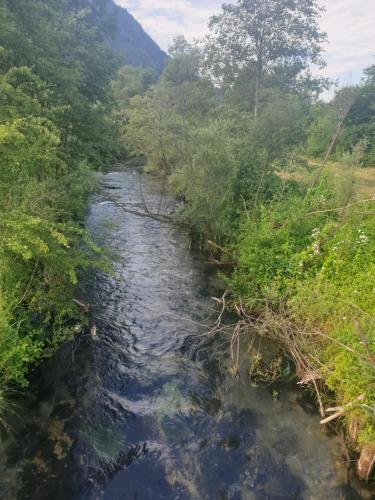 a river in a field next to a forest at Appartementhaus Hüttenberger in Erpfendorf