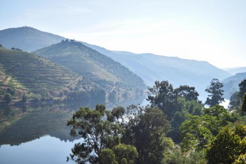 a view of a valley with a river and mountains at Quinta do Tedo in Folgosa