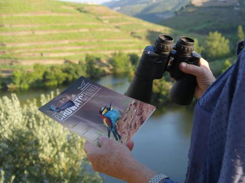 a person holding a camera with a book and binoculars at Quinta do Tedo in Folgosa