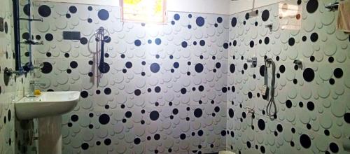 阿努拉德普勒的住宿－Bingu Villa，带淋浴和盥洗盆的浴室