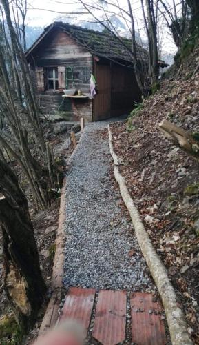 a path in front of a small house at Panorama Jurte über dem Uri-See B in Sisikon