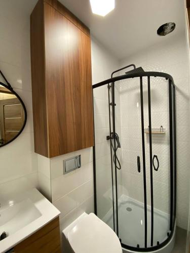 a bathroom with a shower and a toilet and a sink at MH Apartments in Rzeszów