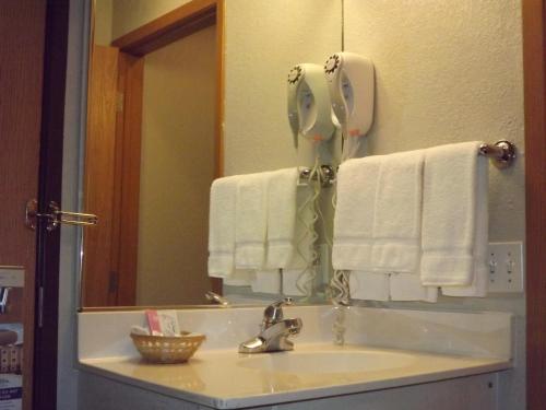 Un baño de MICROTEL Inn and Suites - Ames
