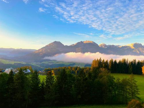 a view of a valley with trees and mountains at Radochsbergloft in Abtenau
