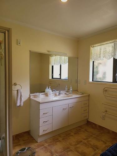 a bathroom with a sink and a large mirror at Real Relax Ninety-Nine in Maungatapere