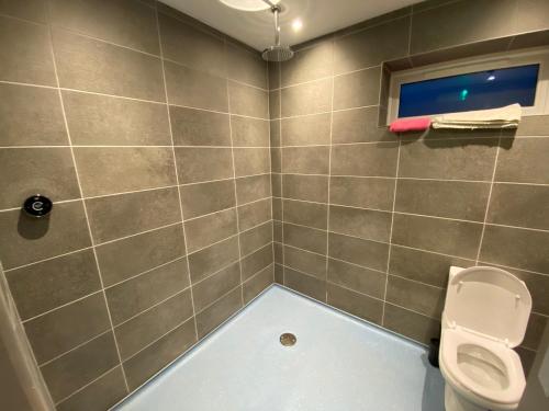 ein Bad mit einem WC und einem Waschbecken in der Unterkunft luxury pod with hot tub in Clodock