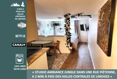 Studio Jungle-Calme rue piétonne