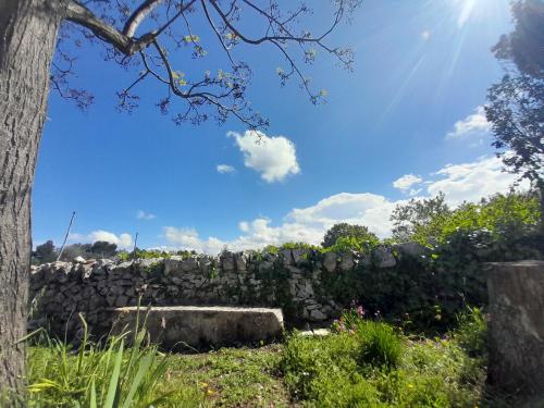 a stone wall with a tree in front of it at Trullo Il Giglio in Cisternino