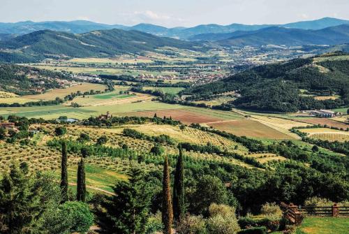 a view of a hillside with trees and mountains at Villa Paradiso by PosarelliVillas in Nestore