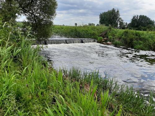 a small stream of water in a field at Willa Kumat in Brańsk