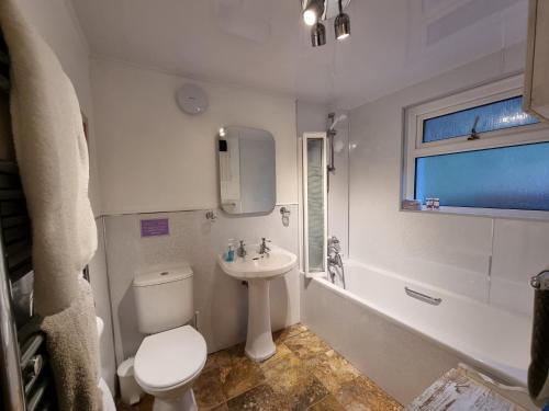 a white bathroom with a toilet and a sink at 2 Bed in Lochinver 32364 in Oldany