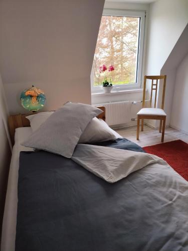 1 cama en un dormitorio con ventana y silla en Watt, en Karolinenkoog