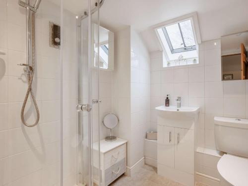 a bathroom with a shower and a toilet and a sink at 3 Bed in Barnstaple 60511 in Swimbridge